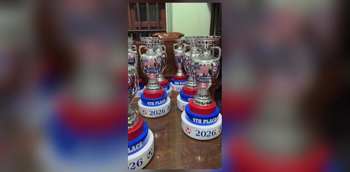 Quy cách đóng gói bong bóng cá gửi đi Hàn Quốc an toàn, đúng chuẩn hàng không quốc tế Quy cách đóng gói bong bóng cá gửi đi Hàn Quốc an toàn, đúng chuẩn hàng không quốc tế