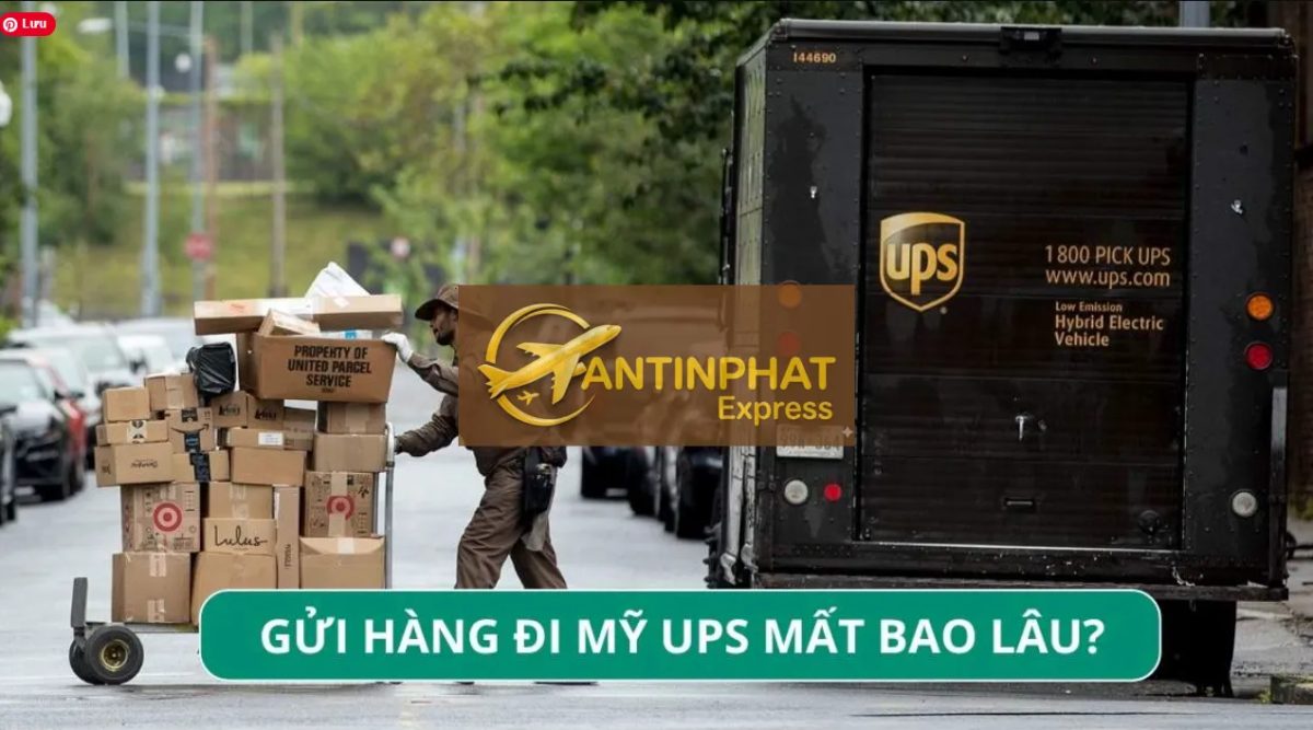 Gửi Sâm Đi Mỹ Qua UPS Tận Nơi Hiệu Quả Gửi Sâm Đi Mỹ Qua UPS Tận Nơi Hiệu Quả