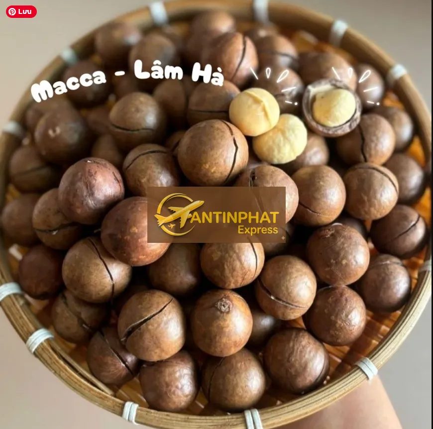 Vận Chuyển Hạt Macca Đi Mỹ Qua UPS Nhanh Chóng Ở Đâu Uy Tín Vận Chuyển Hạt Macca Đi Mỹ Qua UPS Nhanh Chóng Ở Đâu Uy Tín